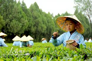 船记：约基奇穆雷一合体&掘金又是争冠热门 快船打得不算差了